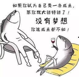 咸鱼2024年最新信息爆料,揭秘咸鱼最新爆料，带你领略电商新趋势